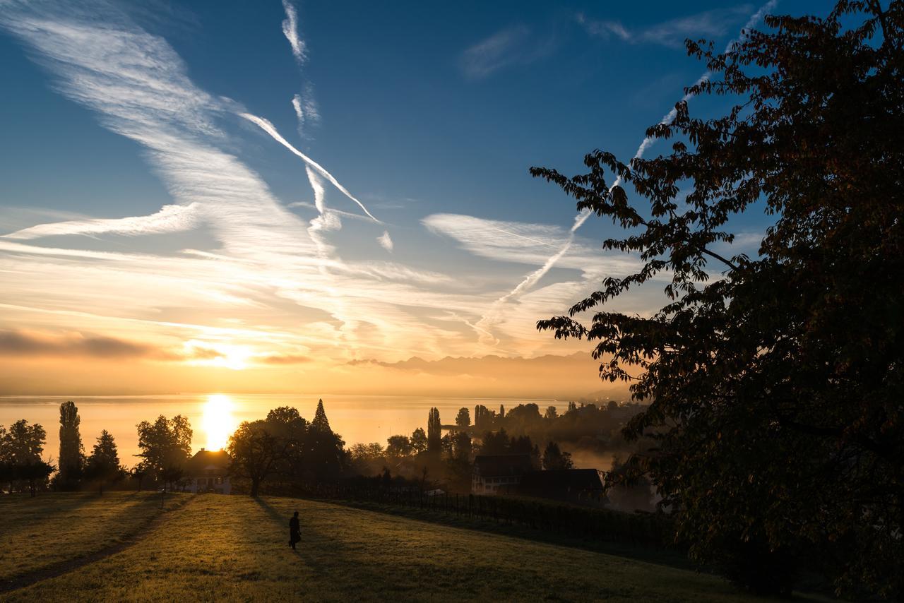 Landgasthof Halbinsel Au Otel Wädenswil Dış mekan fotoğraf